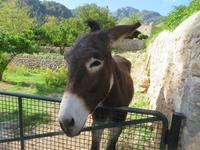 IMG_3490 &ndash; &copy; Kathrin Mickan (Eberhardt TRAVEL)
