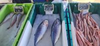 Fisch und Preise.jpg