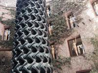 105Reifenpalme im innenhof &ndash; &copy; Birgit Janosch (Eberhardt TRAVEL)