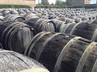 281Distillerie Noilly Prat &ndash; &copy; Birgit Janosch (Eberhardt TRAVEL)