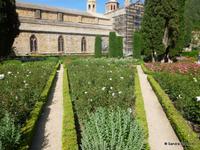 Kloster Fontfroide Garten  &ndash; &copy; Sandra Rößle (Eberhardt TRAVEL)