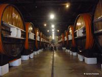 Noilly Prat Wermut Verkostung  &ndash; &copy; Sandra Rößle (Eberhardt TRAVEL)