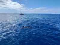 Grindwale &ndash; &copy; Sinah Witzig (Eberhardt TRAVEL)
