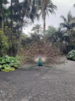 Jardín de la Marquesa &ndash; &copy; Sinah Witzig (Eberhardt TRAVEL)