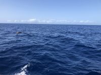Los Gigantes  &ndash; &copy; Francisco Javier Burgos Gutierrez (Eberhardt TRAVEL)