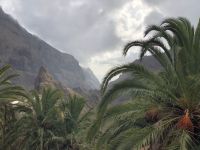 Masca  &ndash; &copy; Francisco Javier Burgos Gutierrez (Eberhardt TRAVEL)