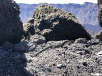Teide  &ndash; &copy; Francisco Javier Burgos Gutierrez (Eberhardt TRAVEL)