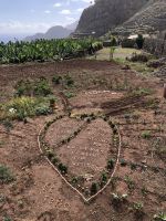 Agulo  &ndash; &copy; Francisco Javier Burgos Gutierrez (Eberhardt TRAVEL)