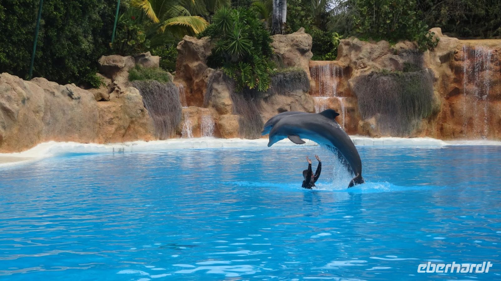 0507 Loro Park &ndash; &copy; Jörg Nesse (Eberhardt TRAVEL)