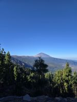 Aussichtspunkt Mirador de la Cumbre, Teneriffa.jpg &ndash; &copy; Katrin Jähne (Eberhardt TRAVEL)