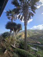 Blick vom Restaurant Las Rosas, La Gomera.jpg &ndash; &copy; Katrin Jähne (Eberhardt TRAVEL)