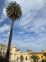 La Orotava.jpg &ndash; &copy; Katrin Jähne (Eberhardt TRAVEL)