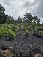 Vulkan Tajogaide, La Palma &ndash; &copy; Katrin Jähne (Eberhardt TRAVEL)
