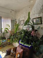 Artenara, Höhlenwohnung, Gran Canaria.jpg &ndash; &copy; Katrin Jähne (Eberhardt TRAVEL)