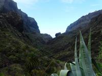 Masca-Schlucht &ndash; &copy; Anne Sturm (Eberhardt TRAVEL)