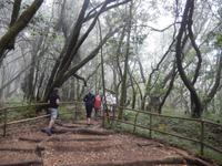 La Gomera - Rundreise – Inselhüpfen auf den Kanaren &ndash; &copy; Benjamin Rodriguez Manzanares (Eberhardt TRAVEL)