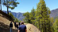 La Palma - Rundreise – Inselhüpfen auf den Kanaren &ndash; &copy; Benjamin Rodriguez Manzanares (Eberhardt TRAVEL)