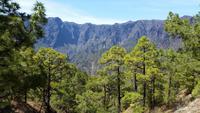 La Palma - Rundreise – Inselhüpfen auf den Kanaren &ndash; &copy; Benjamin Rodriguez Manzanares (Eberhardt TRAVEL)