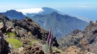 La Palma - Rundreise – Inselhüpfen auf den Kanaren &ndash; &copy; Benjamin Rodriguez Manzanares (Eberhardt TRAVEL)