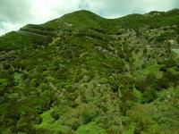 Teneriffa