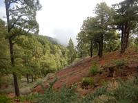  La Palma &ndash; &copy; Rebekka Böhme (Eberhardt TRAVEL)