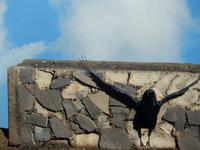 Mirador de Los Andenes - La Palma &ndash; &copy; Rebekka Böhme (Eberhardt TRAVEL)