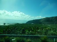 La Palma &ndash; &copy; Rebekka Böhme (Eberhardt TRAVEL)
