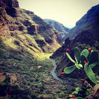 Agüimes &ndash; &copy; Rebekka Böhme (Eberhardt TRAVEL)
