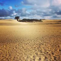 Maspalomas Gran Canaria &ndash; &copy; Rebekka Böhme (Eberhardt TRAVEL)