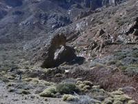401_Teide Nationalpark &ndash; &copy; Jörg Nesse (Eberhardt TRAVEL)