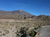 402_Teide Nationalpark &ndash; &copy; Jörg Nesse (Eberhardt TRAVEL)