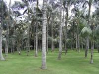 503_Loro Park &ndash; &copy; Jörg Nesse (Eberhardt TRAVEL)