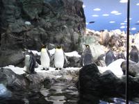 510_Loro Park &ndash; &copy; Jörg Nesse (Eberhardt TRAVEL)