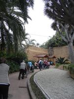 516_Loro Park &ndash; &copy; Jörg Nesse (Eberhardt TRAVEL)