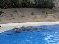 517_Loro Park &ndash; &copy; Jörg Nesse (Eberhardt TRAVEL)