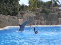 518_Loro Park &ndash; &copy; Jörg Nesse (Eberhardt TRAVEL)