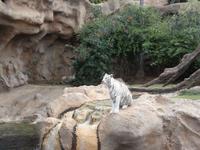 519_Loro Park &ndash; &copy; Jörg Nesse (Eberhardt TRAVEL)