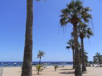 710_Playa de Las Teresitas &ndash; &copy; Jörg Nesse (Eberhardt TRAVEL)