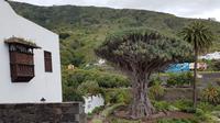 Teneriffa - Inselhüpfen auf den Kanaren - 12 Tage Rundreise auf den Kanarische Inseln &ndash; &copy; Benjamin Rodriguez Manzanares (Eberhardt TRAVEL)