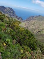 Teneriffa - Inselhüpfen auf den Kanaren - 12 Tage Rundreise auf den Kanarische Inseln &ndash; &copy; Benjamin Rodriguez Manzanares (Eberhardt TRAVEL)