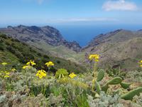 Teneriffa - Inselhüpfen auf den Kanaren - 12 Tage Rundreise auf den Kanarische Inseln &ndash; &copy; Benjamin Rodriguez Manzanares (Eberhardt TRAVEL)
