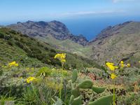 Teneriffa - Inselhüpfen auf den Kanaren - 12 Tage Rundreise auf den Kanarische Inseln &ndash; &copy; Benjamin Rodriguez Manzanares (Eberhardt TRAVEL)