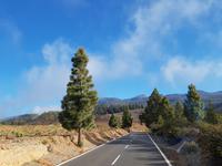 Teneriffa - Inselhüpfen auf den Kanaren - 12 Tage Rundreise auf den Kanarische Inseln &ndash; &copy; Benjamin Rodriguez Manzanares (Eberhardt TRAVEL)