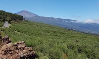 Teneriffa - Inselhüpfen auf den Kanaren - 12 Tage Rundreise auf den Kanarische Inseln &ndash; &copy; Benjamin Rodriguez Manzanares (Eberhardt TRAVEL)