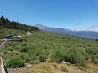 Teneriffa - Inselhüpfen auf den Kanaren - 12 Tage Rundreise auf den Kanarische Inseln &ndash; &copy; Benjamin Rodriguez Manzanares (Eberhardt TRAVEL)