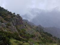 La Gomera - Inselhüpfen auf den Kanaren - 12 Tage Rundreise auf den Kanarische Inseln &ndash; &copy; Benjamin Rodriguez Manzanares (Eberhardt TRAVEL)