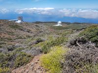 La Palma - Inselhüpfen auf den Kanaren - 12 Tage Rundreise auf den Kanarische Inseln &ndash; &copy; Benjamin Rodriguez Manzanares (Eberhardt TRAVEL)