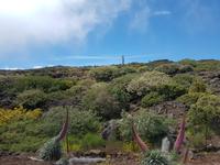La Palma - Inselhüpfen auf den Kanaren - 12 Tage Rundreise auf den Kanarische Inseln &ndash; &copy; Benjamin Rodriguez Manzanares (Eberhardt TRAVEL)