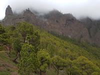 La Palma - Inselhüpfen auf den Kanaren - 12 Tage Rundreise auf den Kanarische Inseln &ndash; &copy; Benjamin Rodriguez Manzanares (Eberhardt TRAVEL)