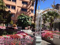 Inselrundfahrt auf Teneriffa (13) &ndash; &copy; Francisco Javier Burgos Gutierrez (Eberhardt TRAVEL)